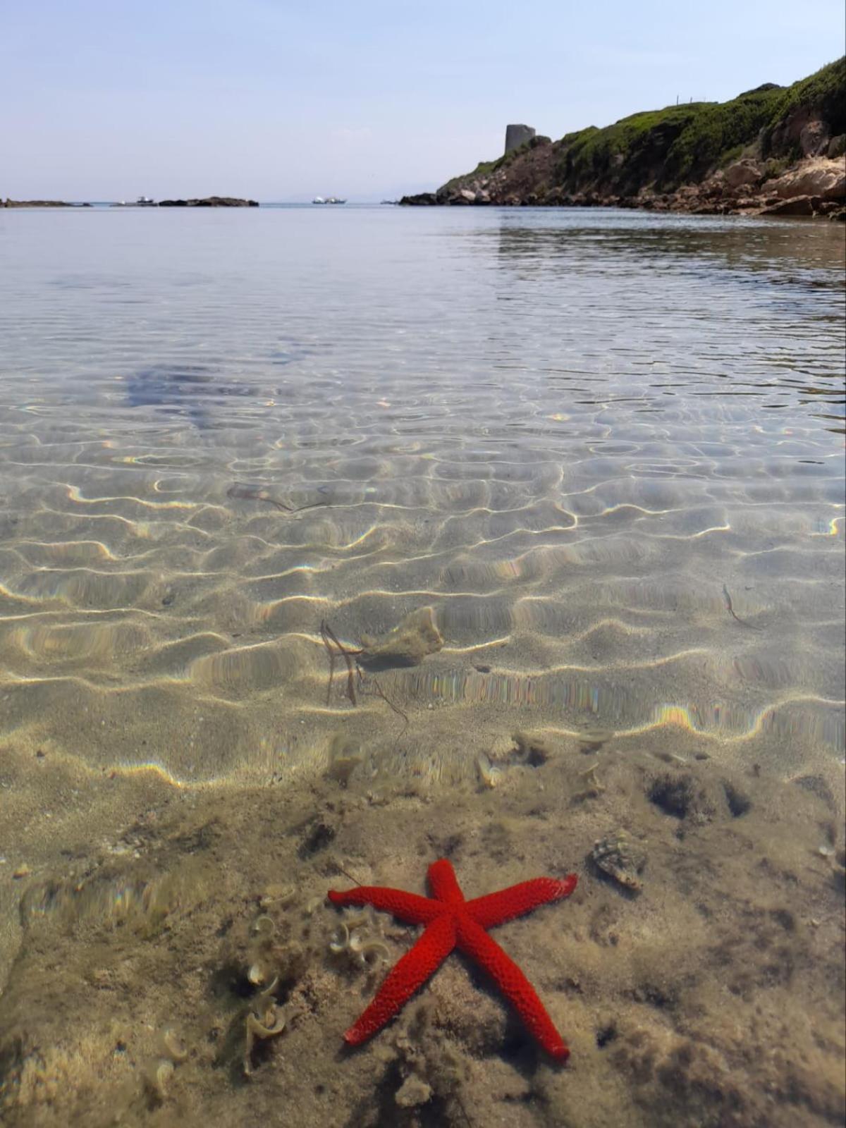 Carpe Diem Οριστάνο Εξωτερικό φωτογραφία